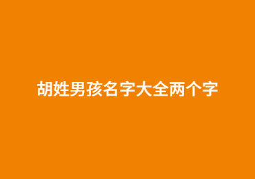 胡姓男孩名字大全两个字