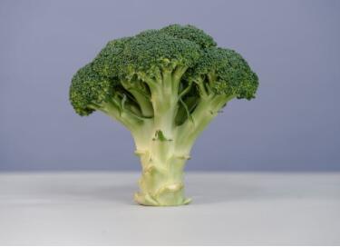 蔬菜商标名字大全228个